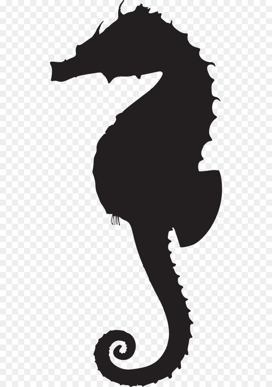 Seahorse Silhouette Clip art - animal silhouettes png download - 640*1280 - Free Transparent  Seahorse png Download.