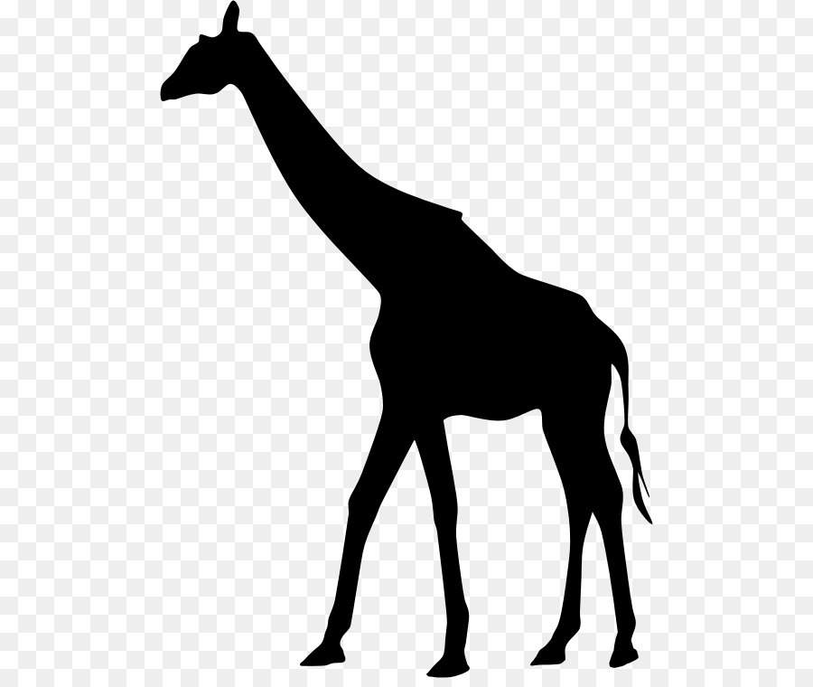 West African giraffe Silhouette - giraffe png download - 546*750 - Free Transparent West African Giraffe png Download.