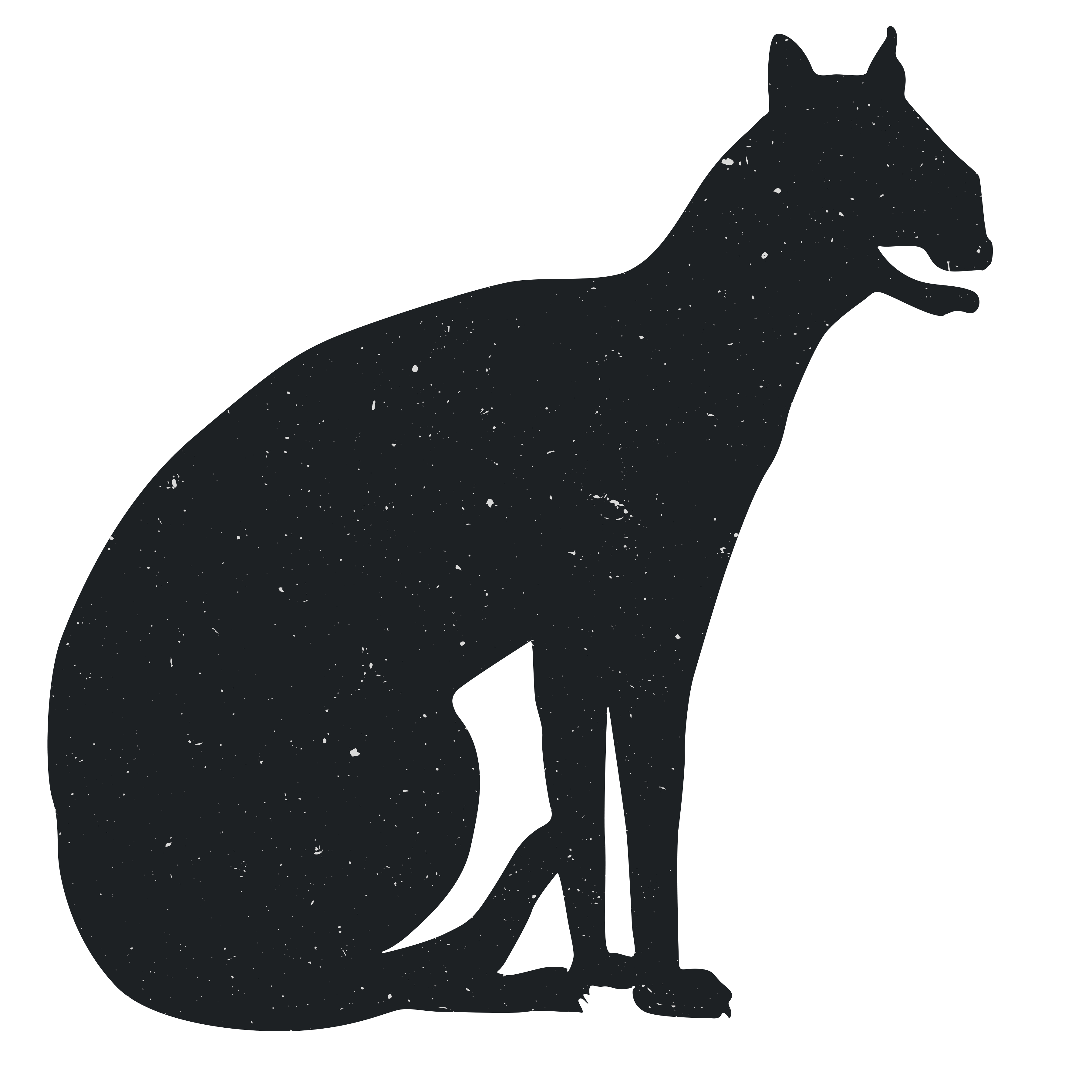 Cat Silhouette Red fox Animal - Animal Silhouettes png download - 3600*3600 - Free Transparent Cat png Download.