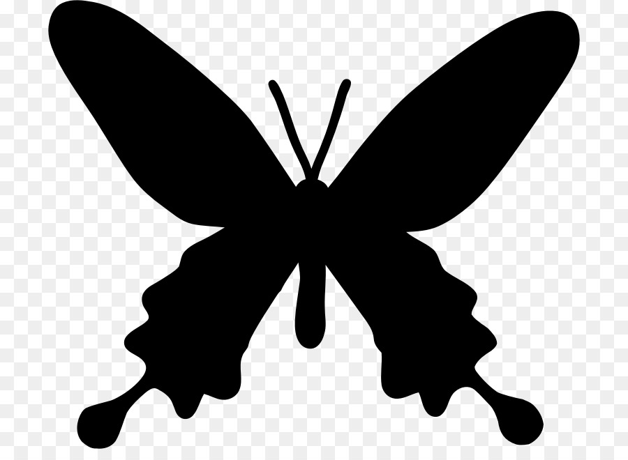 Butterfly Stencil Silhouette Drawing - butterfly png download - 762*644 - Free Transparent Butterfly png Download.