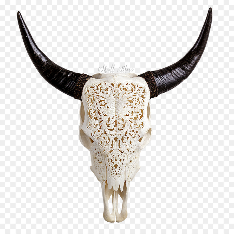 Texas Longhorn Animal Skulls English Longhorn - animal skull png download - 1000*1000 - Free Transparent Texas Longhorn png Download.