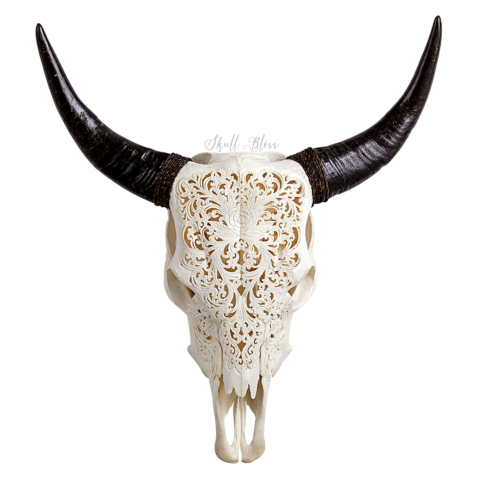 Texas Longhorn Animal Skulls English Longhorn - animal skull png