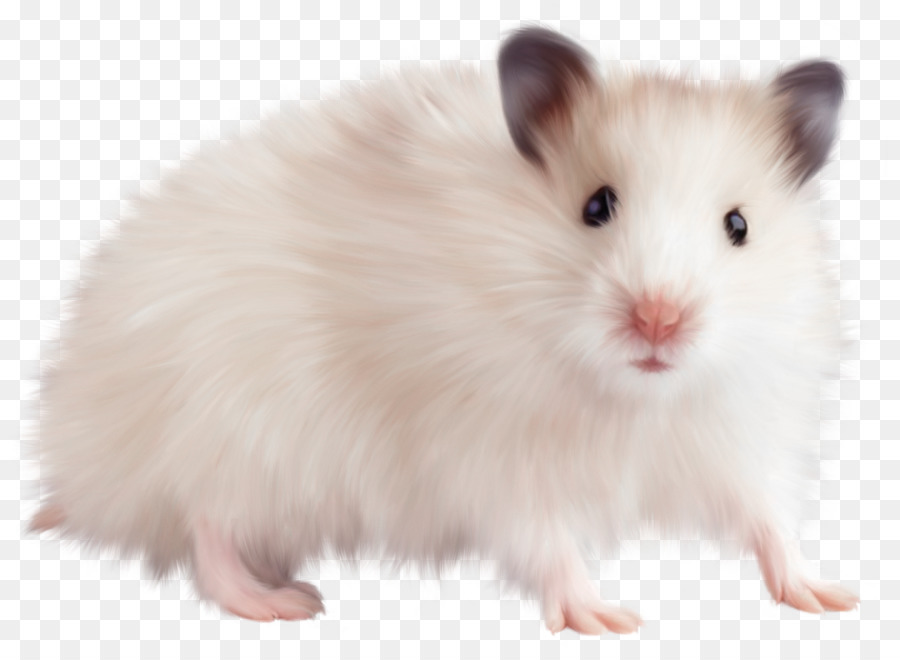 Computer mouse Brown rat Pointer - ANIMAl png download - 1250*903 - Free Transparent Mouse png Download.