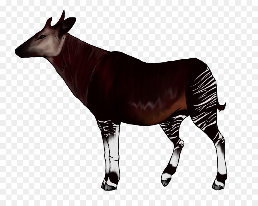 Okapi Giraffe Animal Clip art - giraffe png download - 900*716 - Free Transparent Okapi png Download.