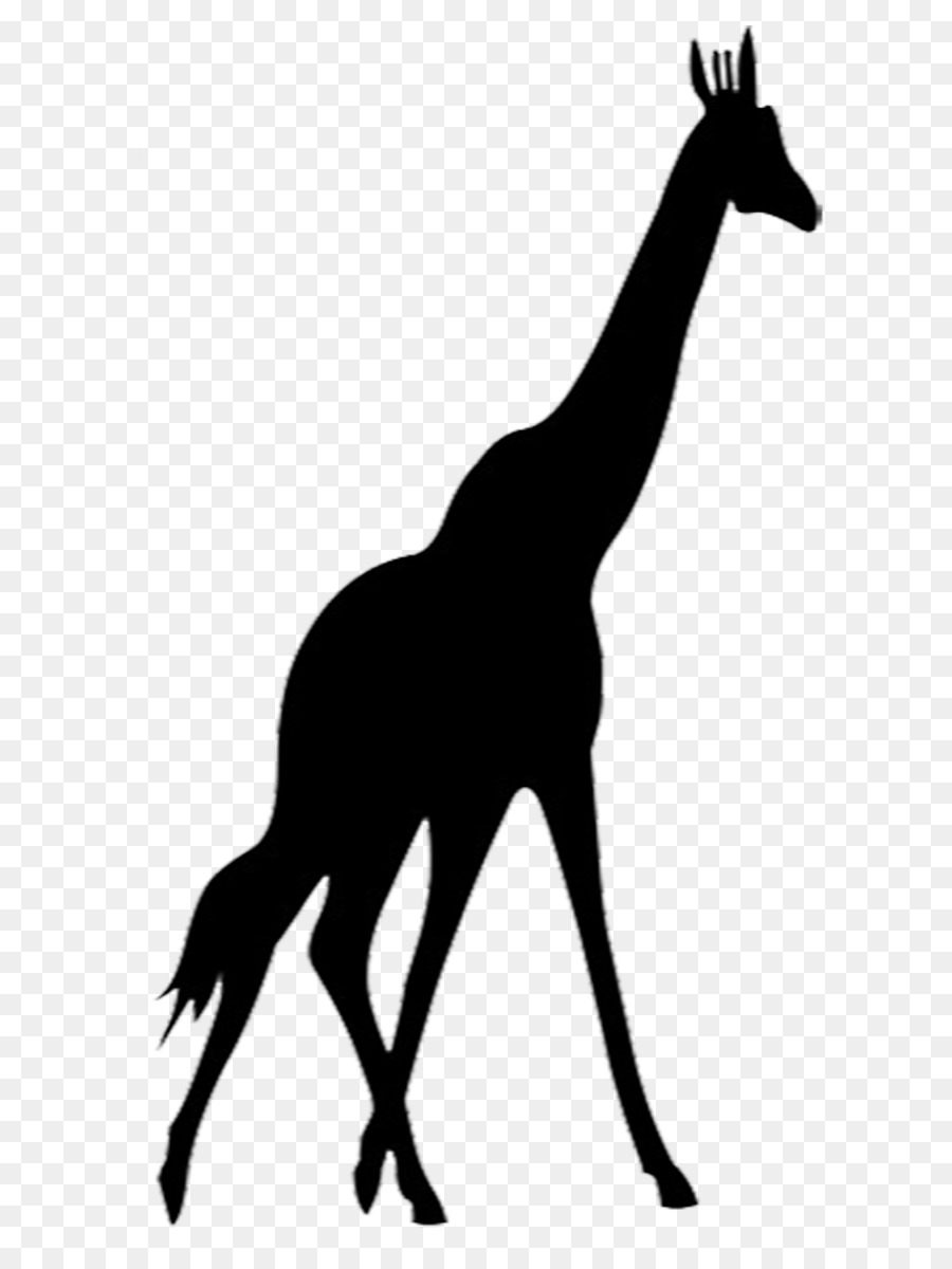 Giraffe Animal Silhouettes Clip art Vector graphics - giraffe png download - 664*1181 - Free Transparent Giraffe png Download.