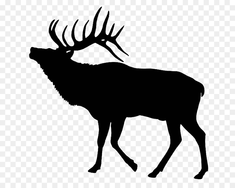 Elk Deer Clip art - Vector Forest Animals png download - 720*720 - Free Transparent Elk png Download.