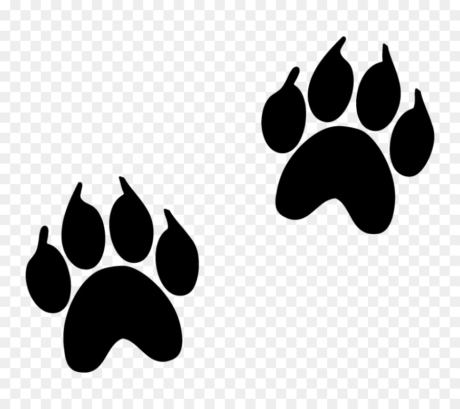 Animal track Footprint Paw Dog - apes vector png download - 800*800 - Free Transparent Animal Track png Download.