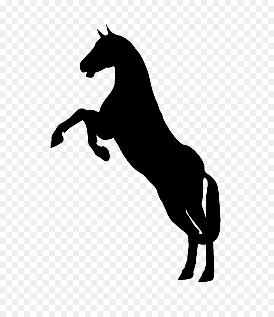 Horse Clip art Vector graphics Silhouette Free content - how to draw a horse png black png download - 576*1024 - Free Transparent Horse png Download.