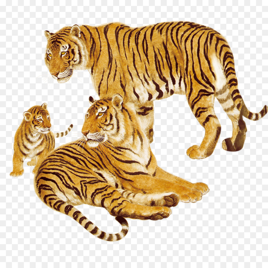Tiger Animal Cat Wildlife - Hand-painted tiger Animals png download - 3000*3000 - Free Transparent Tiger png Download.