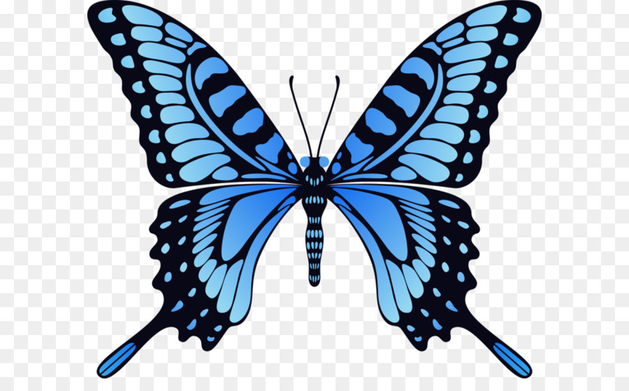 Monarch butterfly Animation Film - Blue butterfly PNG image png download - 979*816 - Free Transparent Butterfly png Download.