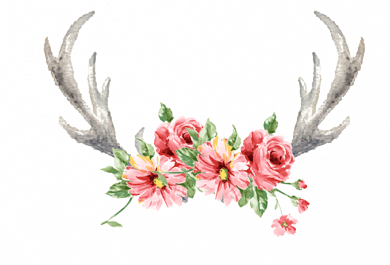 Wildflower Antler - Hand painted antlers png download - 793*538 - Free