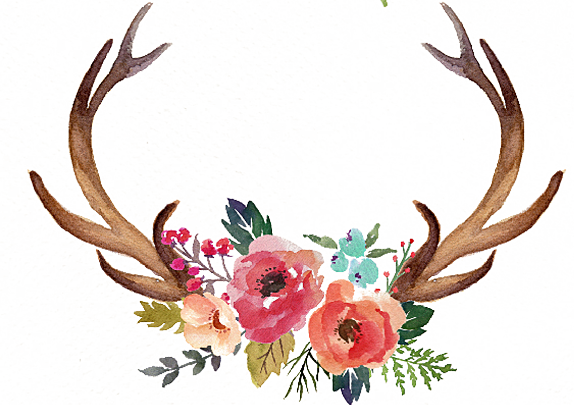 Deer Antler Flower Moose Clip art - Hand painted antlers png download