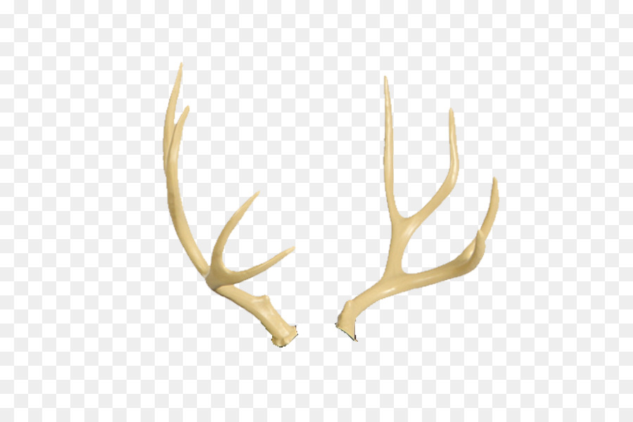 Reindeer Antler Moose Horn - deer antlers png download - 600*600 - Free Transparent Deer png Download.