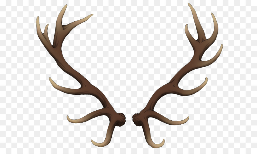 Reindeer Antler Elk Horn - watercolor animals png download - 822*532 - Free Transparent Deer png Download.