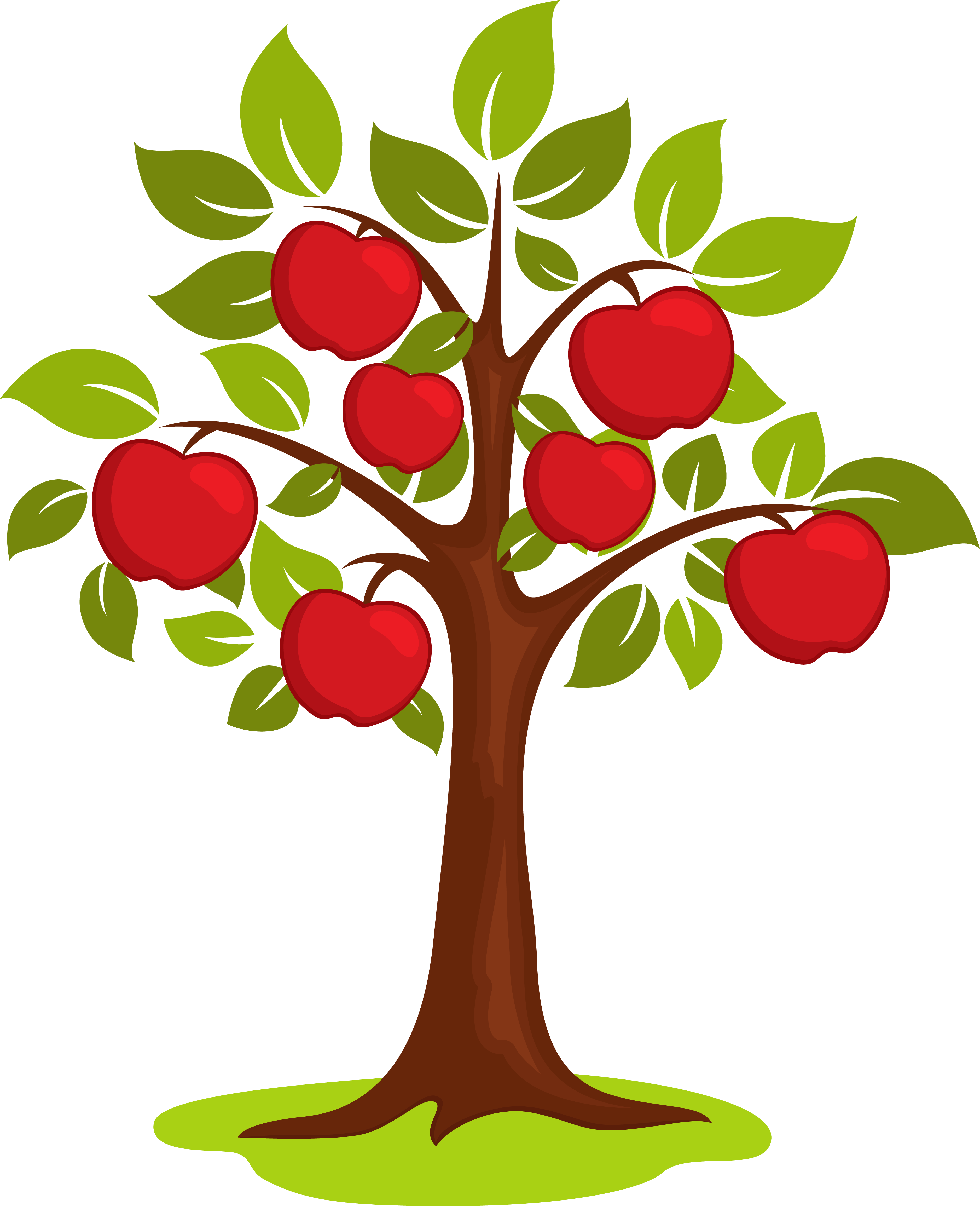 Transparent Background Apple Tree Clipart Png