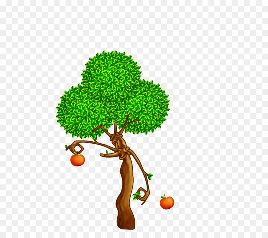 Tree Drawing Oak Clip art - Old apple tree png download - 800*800 - Free Transparent Tree png Download.