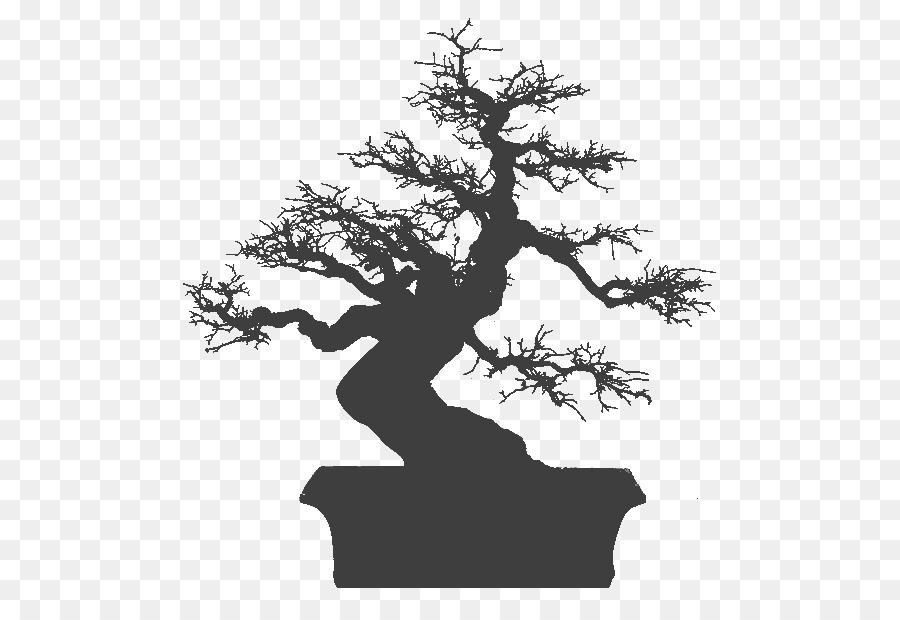 National Bonsai Foundation Apple Iphone 7 Plus Iphone 6 Plus Tree Png Download 581 611 Free Transparent Bonsai Png Download Clip Art Library