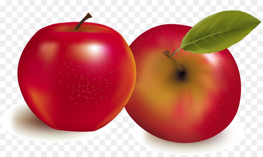 Fruit Royalty-free Stock photography Illustration - Vector hand-painted apples png download - 2206*1307 - Free Transparent Fruit png Download.