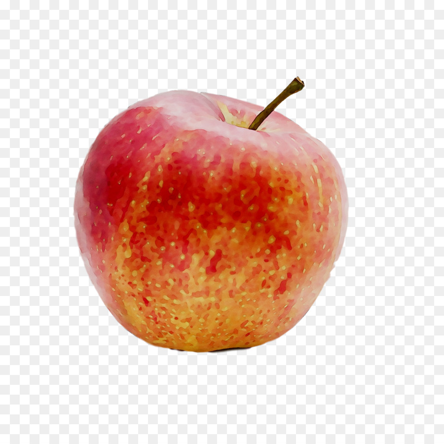 Apples Accessory fruit Food -  png download - 1500*1500 - Free Transparent Apple png Download.