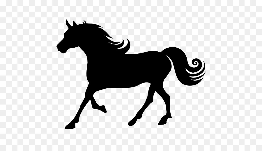 Arabian horse Wild horse Silhouette - running horse png download - 512*512 - Free Transparent Arabian Horse png Download.