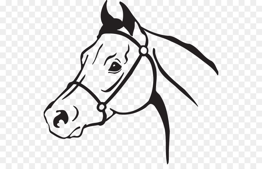Clip art American Quarter Horse Openclipart Arabian horse Mustang - mustang png download - 600*564 - Free Transparent American Quarter Horse png Download.