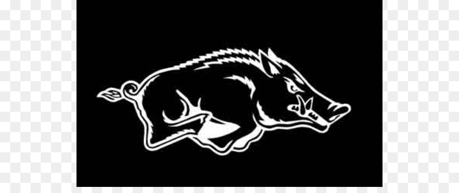 University of Arkansas Arkansas Razorbacks football War Memorial Stadium Southeastern Conference Feral pig - razorback cliparts png download - 600*368 - Free Transparent University Of Arkansas png Download.