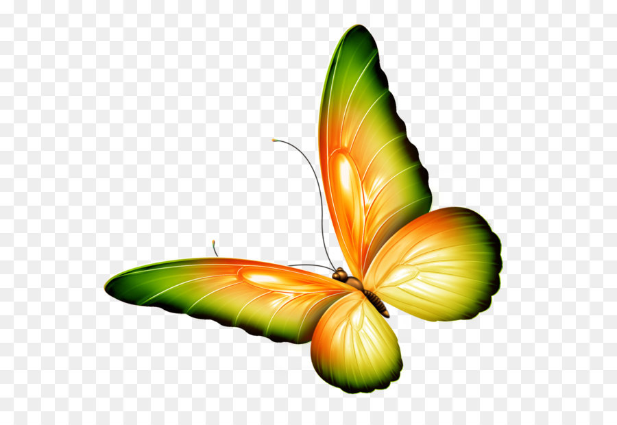 Butterfly Clip art - Yellow and Green Transparent Butterfly Clipart png download - 1232*1140 - Free Transparent Butterfly png Download.