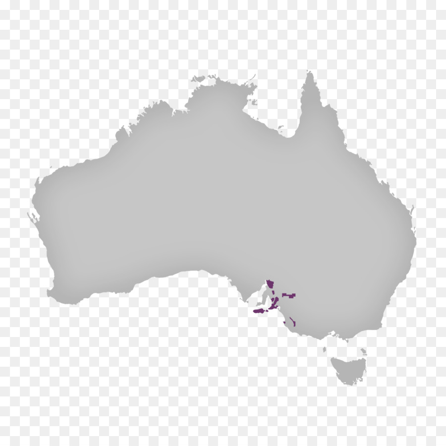 Australia Vector Map - Australia png download - 1000*1000 - Free Transparent Australia png Download.
