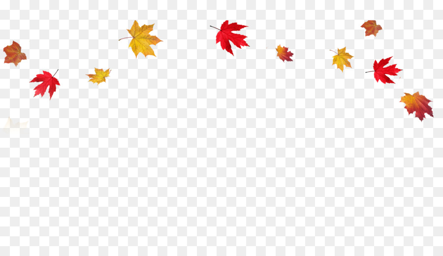 Autumn leaf color Clip art - Transparent Fall Leaves Border PNG png download - 1600*900 - Free Transparent Autumn Leaf Color png Download.