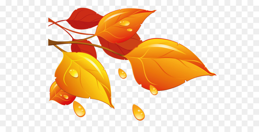 Autumn leaf color Clip art - Transparent Autumn Leaves PNG Clipart png download - 1703*1180 - Free Transparent Autumn png Download.