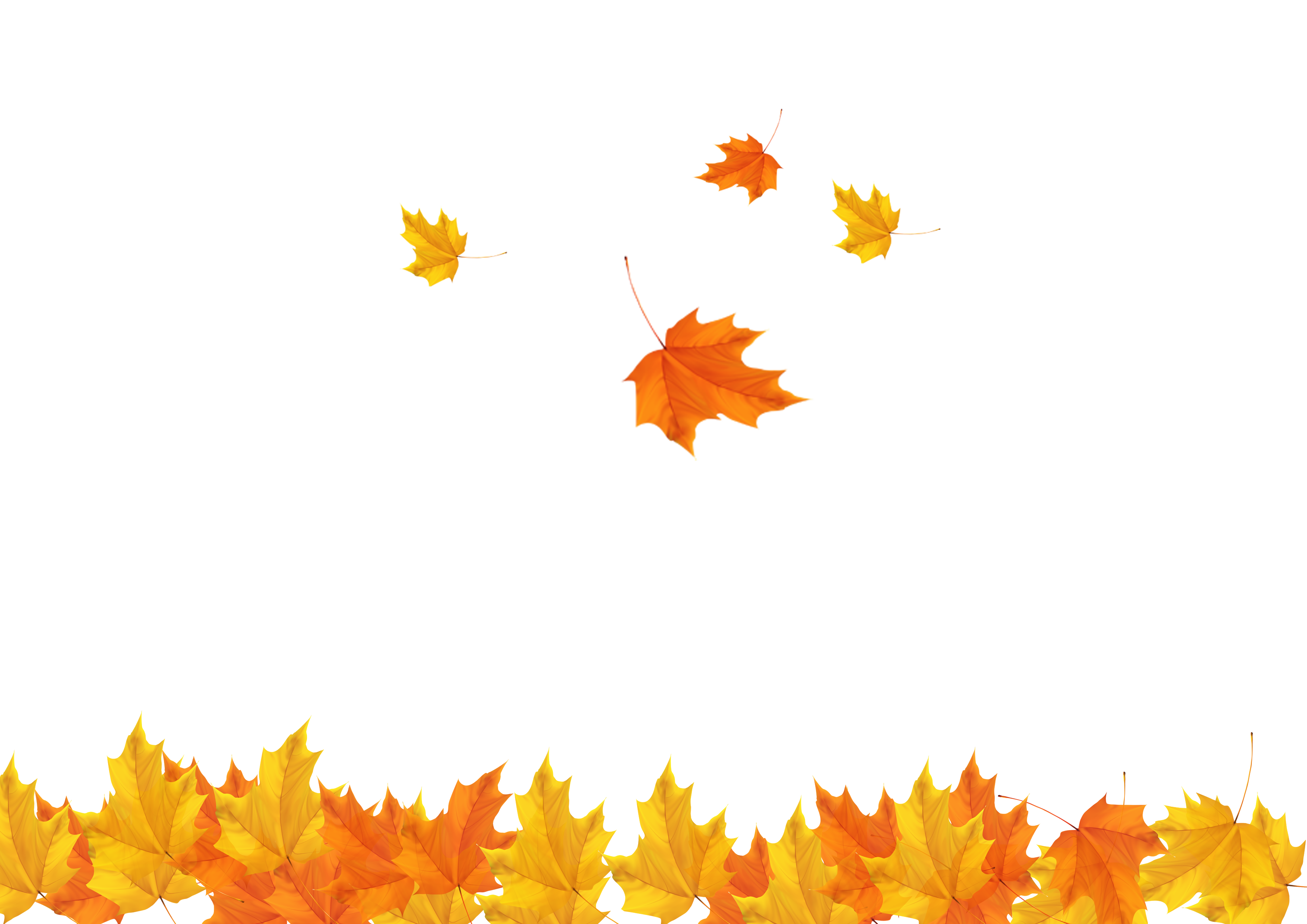 Autumn Leaf Clip Art Fall Maple Leaves Background Image Png Download 35082480 Free