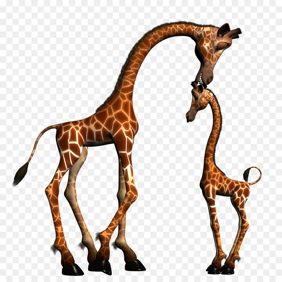 Giraffe Animal Silhouettes Infant Clip art - giraffe png download - 2000*2000 - Free Transparent Giraffe png Download.