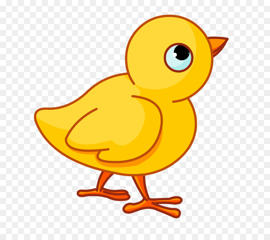 Chicken Infant Mother Clip art - Yellow chick png download - 800*788 - Free Transparent Chicken png Download.