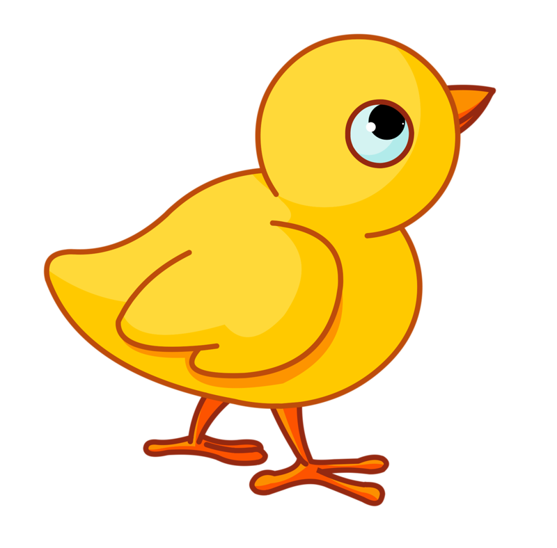Chicken Infant Mother Clip art - Yellow chick png download - 800*788 - Free  Transparent Chicken png Download. - Clip Art Library
