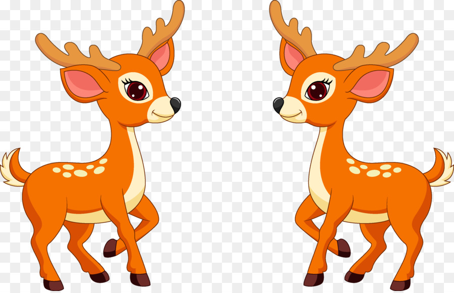 White-tailed deer Clip art - deer png download - 2902*1858 - Free Transparent Deer png Download.