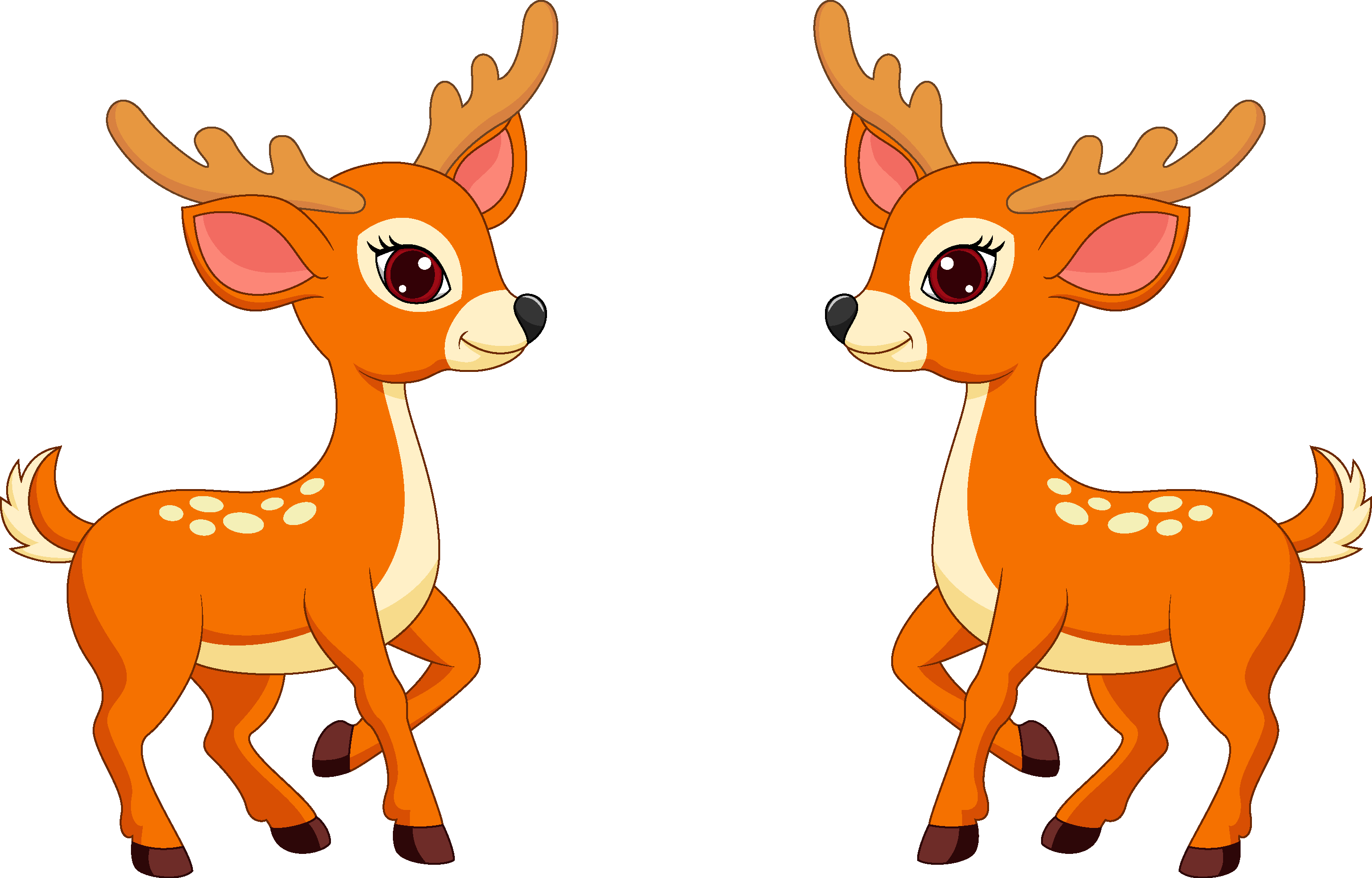 Whitetailed deer Clip art deer png download 2902*1858