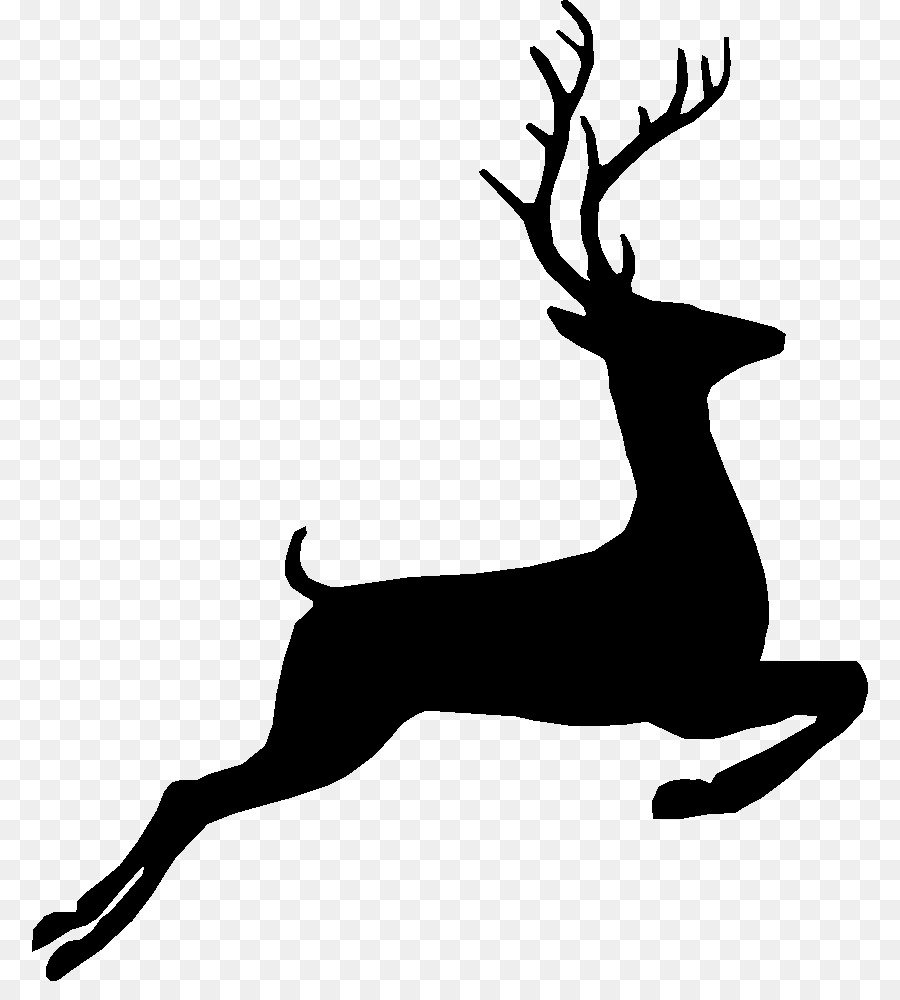 White-tailed deer Reindeer Wolf Moose -  png download - 836*981 - Free Transparent Whitetailed Deer png Download.