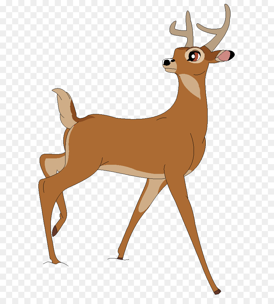 White-tailed deer Faline Red deer - color raindrop png download - 678*984 - Free Transparent Whitetailed Deer png Download.