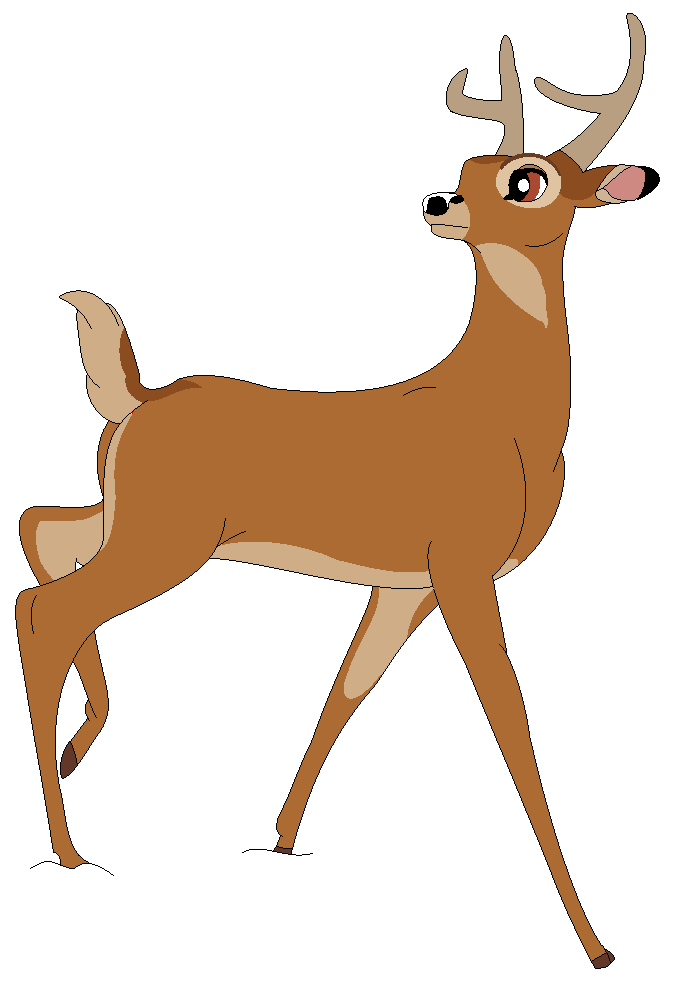 white tailed deer cartoon
