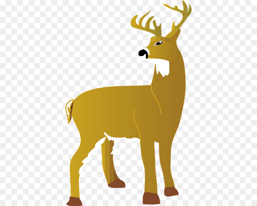 The White-tailed Deer Red deer Clip art - deer png download - 442*720 - Free Transparent Whitetailed Deer png Download.