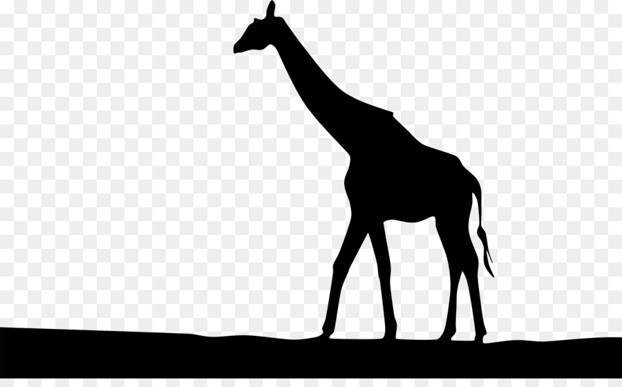 Giraffe Silhouette Clip art - Africa png download - 2400*1462 - Free Transparent Giraffe png Download.
