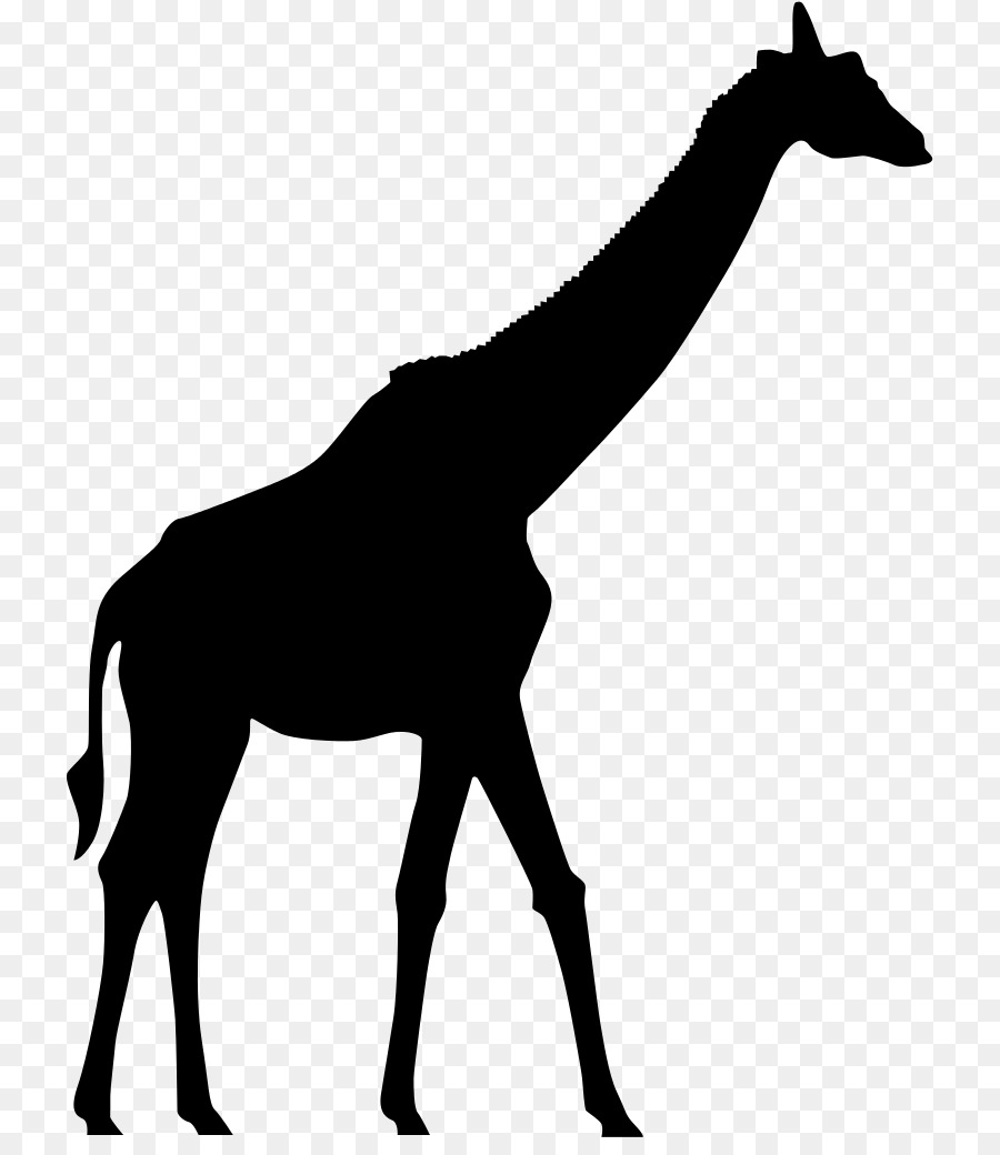 Giraffe Silhouette Clip art - giraffe png download - 780*1024 - Free Transparent Giraffe png Download.