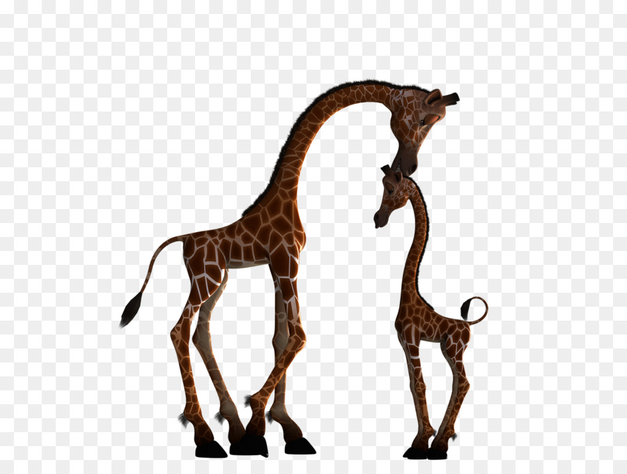 Giraffe Silhouette Scalable Vector Graphics Clip art - Size giraffe png download - 1920*1440 - Free Transparent Giraffe png Download.