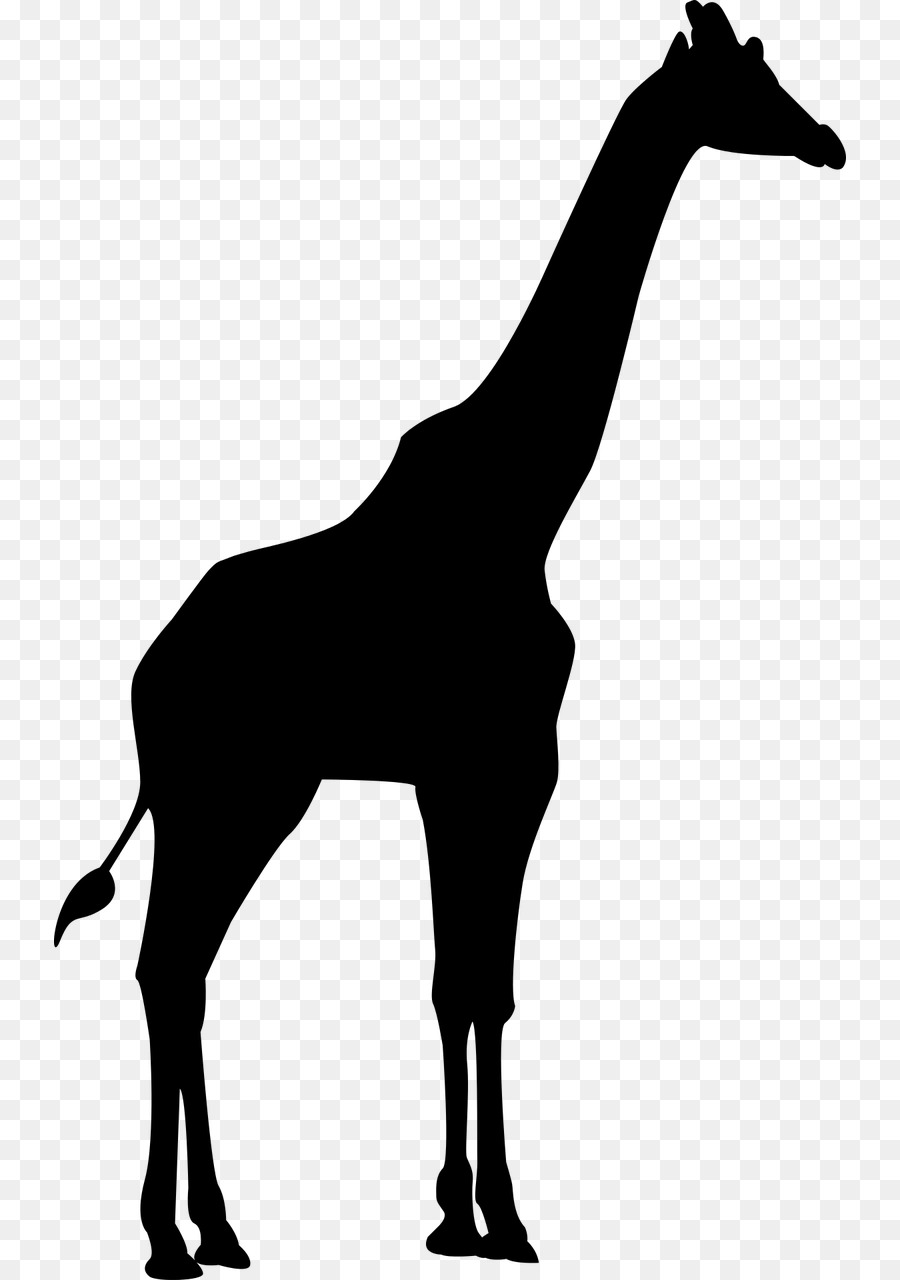 Mane Northern giraffe Clip art - Silhouette png download - 792*1280 - Free Transparent Mane png Download.