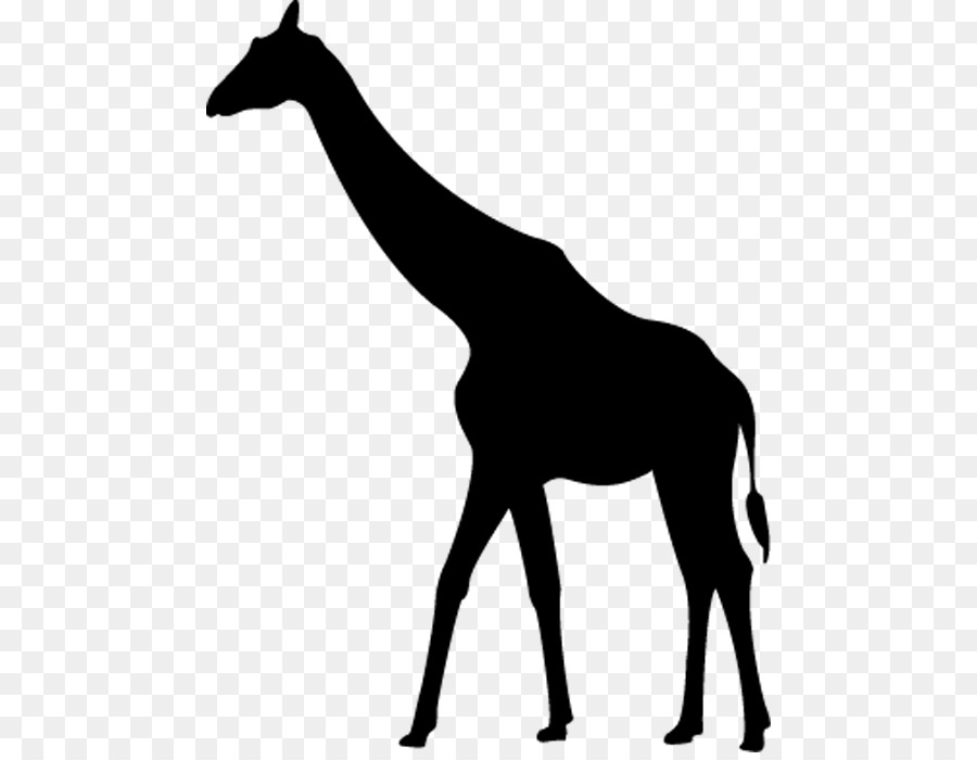 Giraffe Silhouette Clip art - giraffe png download - 520*693 - Free Transparent Giraffe png Download.