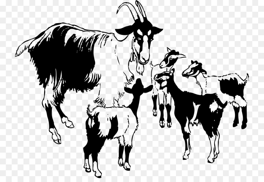 Black Bengal goat Boer goat Sheep Poitou goat Clip art - sheep png download - 800*607 - Free Transparent Black Bengal Goat png Download.