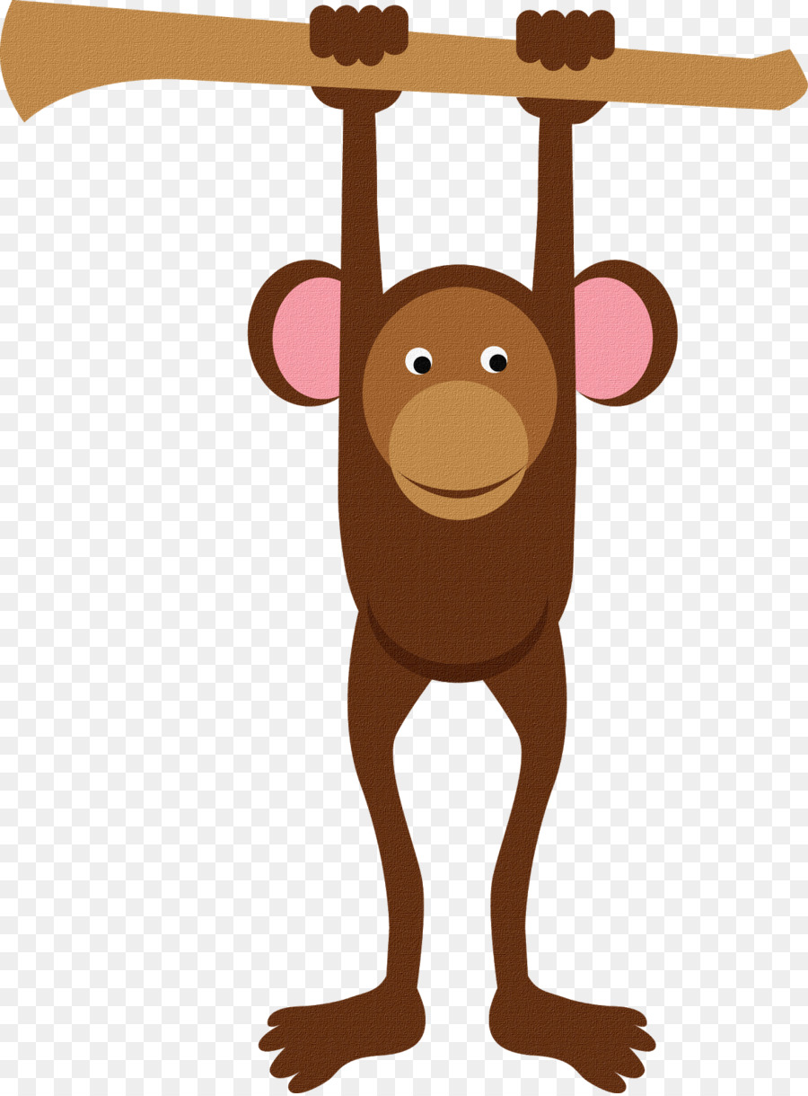 Baby Monkeys Primate Gibbon - monkey png download - 1183*1600 - Free Transparent Baby Monkeys png Download.