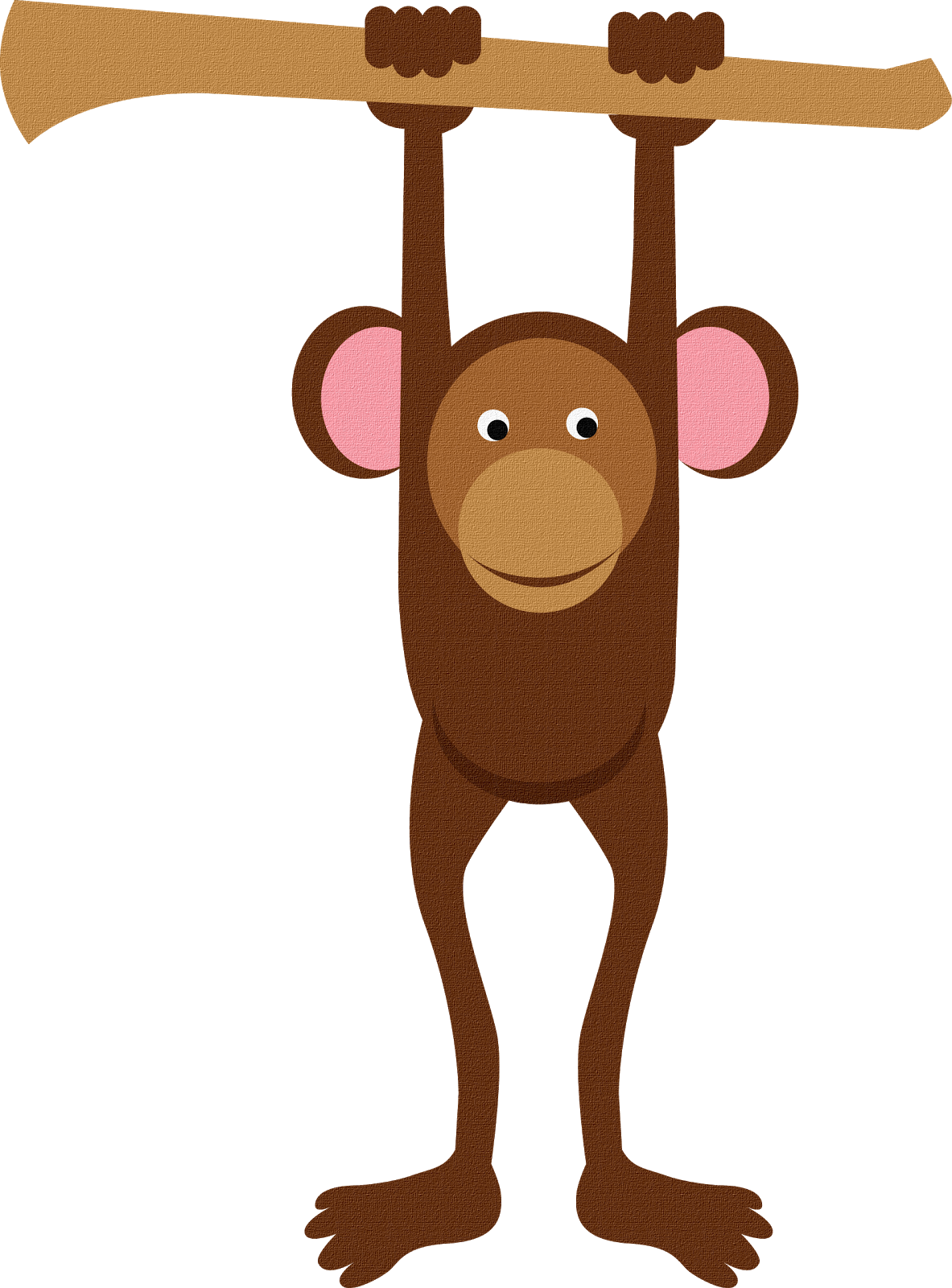 Baby Monkeys Primate Gibbon Monkey Png Download 11831600 Free