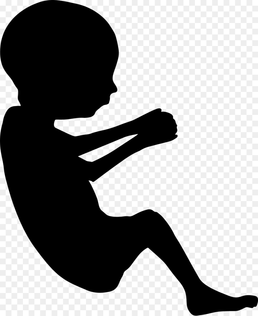 Fetus Infant Pregnancy Silhouette Clip art - pregnancy png download - 1048*1280 - Free Transparent Fetus png Download.