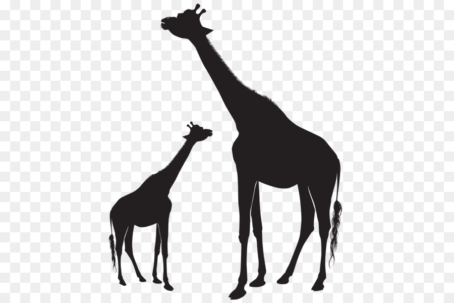 Clip art Baby Giraffe Silhouette Image Vector graphics - Silhouette png download - 487*600 - Free Transparent Baby Giraffe png Download.